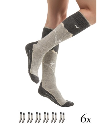 Alpaka Premium SKI- & SPORTSOCKEN 6er Pack aus...